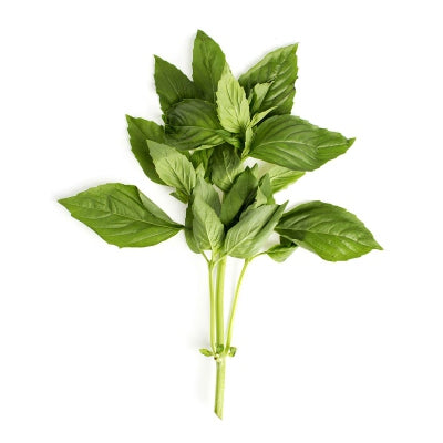 Herb, Basil Bunch
