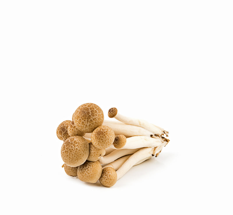 Mushroom, Brown Beech 150g