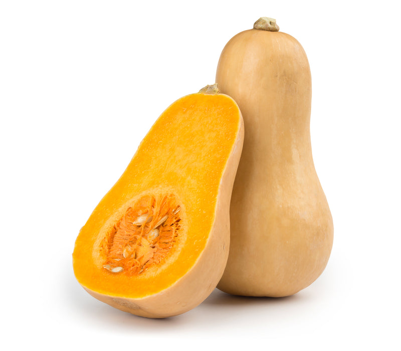 Squash, Butternut