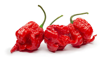 Pepper, Carolina Reaper 1.75oz