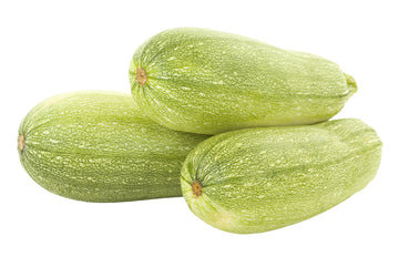 Squash, Zucchini Grey Mexican