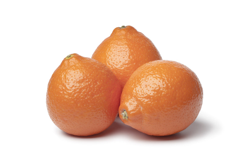 Honeybell, Orange EACH