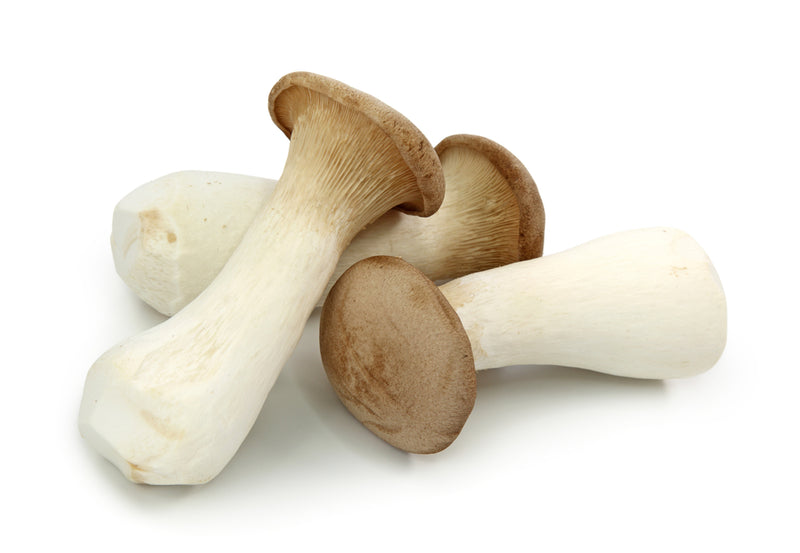 Mushroom, King Oyster 300g