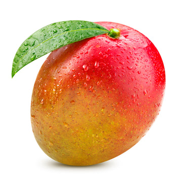 Mango, Tommy/Kent EACH