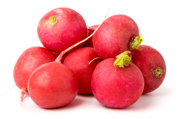 Radish, Red 6oz