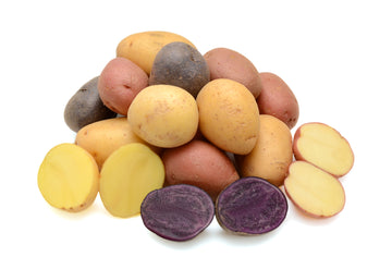 Potato, Small sized mixed colors 8oz