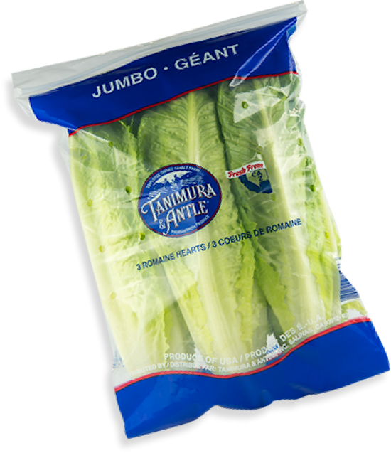 Lettuce, Romaine Hearts 3ct