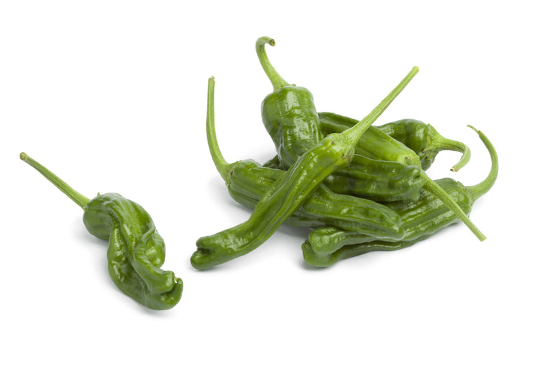Pepper, Shishito 4oz
