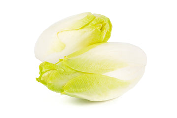 Endive, Belgium White 2 Count