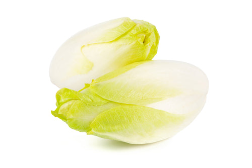 Endive, Belgium White 2 Count