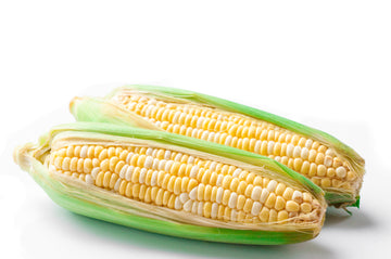 Corn, Bi Color