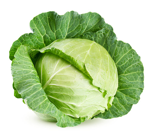 Cabbage, Green