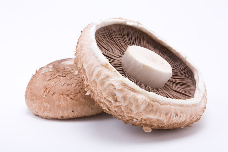 Mushroom, Portabella Medium Sized EACH