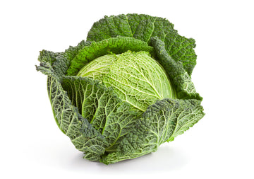 Cabbage, Savoy
