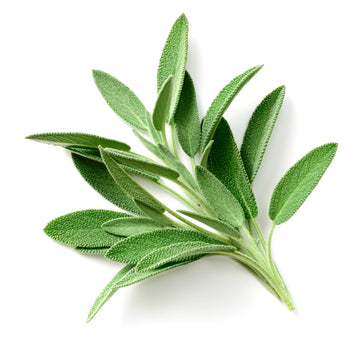 Herb, Sage Bunch