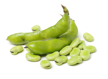 Bean, Fava Per Pound