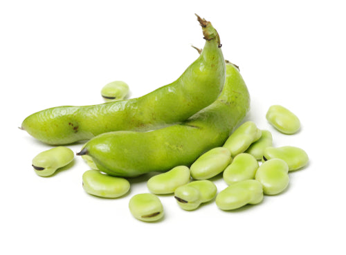 Bean, Fava Per Pound