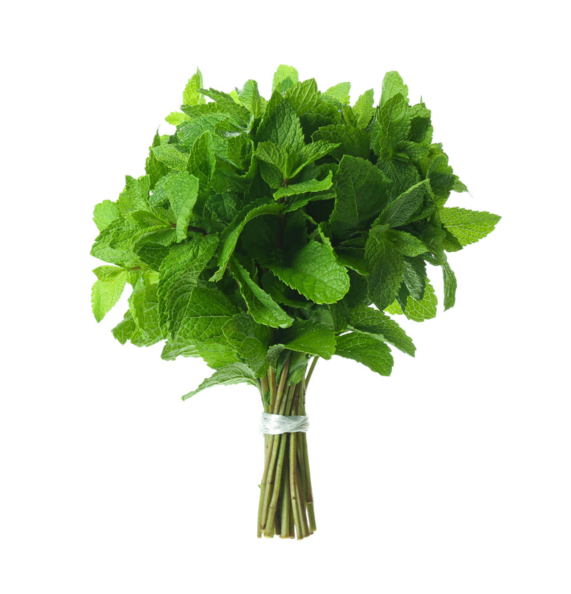 Herb, Mint Bunch
