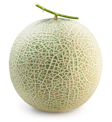 Cantaloupe Melon